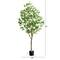 7ft. Potted Green Artificial Greco Citrus Tree with Real Touch Leaves